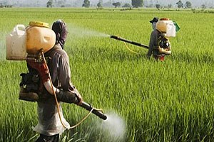 AP Glifosatın Kullanım Süresini Uzattı