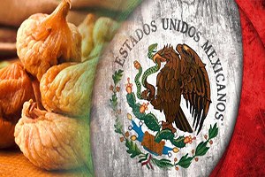 Meksika Kuru İnciri Türkiye den İthal Edecek