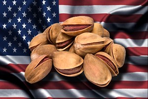 ABD ye Antep Fıstığı Türkiye den