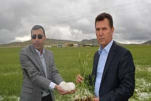 Niğde de 20 Köyü Sel ve Dolu Vurdu