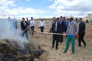 Adıyaman dan Ortadoğu ya Firikbuğday İhracatı