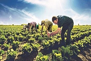 Bilecik te Tarım ve Kırsal Kalkınmayı Destekleme Toplantısı