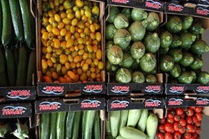 Tahıl Meyve ve Sebze Üretiminde Artış Bekleniyor