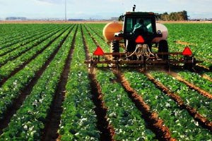 Tarımda Süper Molekül Devri