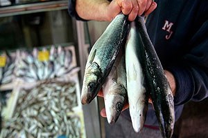 Destek Kaldırıldı Üretici Sevindi