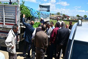 Tatvan da 3 Bin Adet Sertifikalı Ceviz Fidanı Dağıtıldı