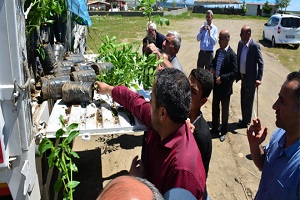 Tatvan da 3 Bin Adet Sertifikalı Ceviz Fidanı Dağıtıldı