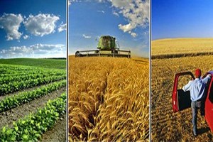 Erzurum da Tarım ve Hayvancılığa Can Suyu