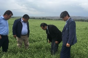 Çiftçiyi Yine Dolu Vurdu