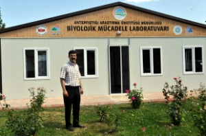 Antep Fıstığı Zararlısıyla Böcekli Mücadele