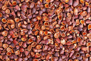 Fındık Atıklarından Tekstil Boyası Ürettiler