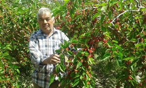 Fransız Terzi Memleketindeki Çiftçilere Örnek Oldu