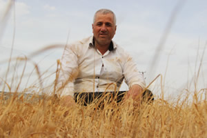 Güneydoğu da Kuraklık Hububat Üreticilerini Vurdu