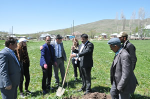 Patnos ta 400 Elma Fidanı Dikildi