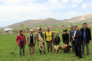 Van da Şüpheli Kuzu Ölümleri