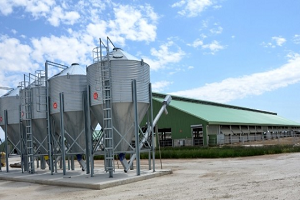 Arap Hibe Desteği Alan Tarım İşletmelerinde İncelemelerde Bulundu