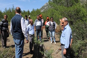 Aydın ve Muğla da 75 Bin Delice Aşılanıyor