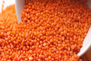 Güneydoğu Çiftçisinin Yüzü Kırmızı Mercimekle Gülecek