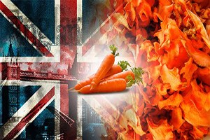 İngiltere den Kurutulmuş Havuç Talebi