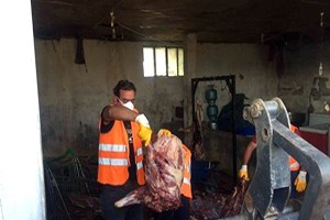 Önce Domuz Eti Sattı Sonra Alan Kasapların İsimlerini Açıklamakla Tehdit Etti