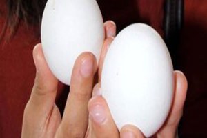 Pisliğe Bulanmış Yumurtayı Köy Yumurtası Diye Satıyorlar