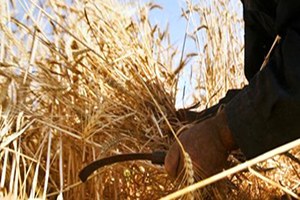 Çiftçiye Yılın İlk 5 Ayında 6 Milyar Liralık Destek