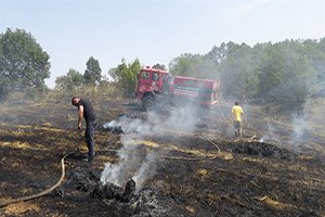 Biga da Tarım Arazisinde Yangın Korkuttu