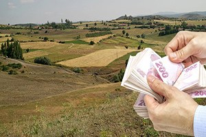 Boş Duran Tarlalar Para Basacak