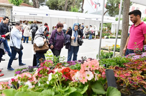 Bayındır Çiçek Açtı