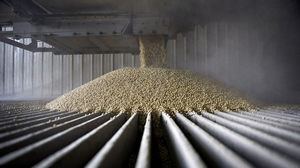 FAO Gıda Fiyat Endeksi Nisanda Yükseldi