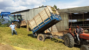 Ödemiş Ovasında Arpa Silajı Hareketliliği