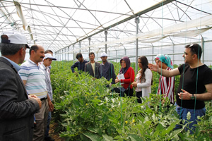Dulkadiroğlu İlçe Gıda Tarım Ve Hayvancılık Müdürlüğü Çiftçileri Yeniliklerle Buluşturmaya Devam Ediyor