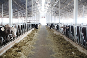 Kırsal Kalkınma Destekleri Azim Ve Şevkimizi Artırıyor