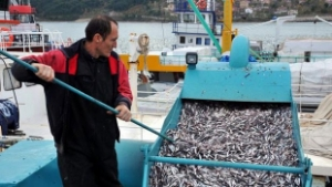 Balıkçı Gemileri Elektronik Olarak İzlenecek