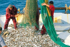 Su Ürünleri İçin Av Yasağı Uyarısı