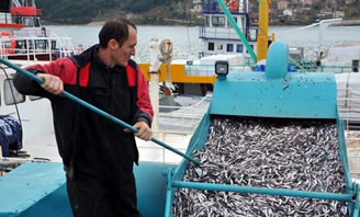 Balıkçı Gemileri Elektronik Olarak İzlenecek