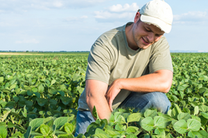 Bingöl de Hibe Programına Yoğun İlgi