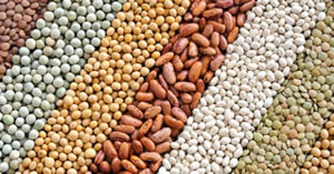 Dünya Bakliyat Ürünlerini Akıllı Gıda Olarak Kabul Etmeye Başladı