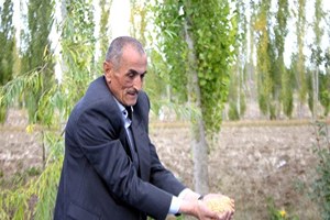 5 Bin Yıllık Yerli Tohumu Kendi Üretti