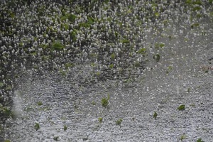 Ağrı da Dolu Yağışı Tarım Ürünlerine Zarar Verdi