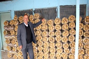 Pasinler Patatesi Erzurum da Sydv lerce Dağıtıldı