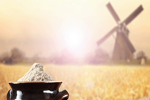 Un İhracatında Hedef 3 3 Milyon Ton