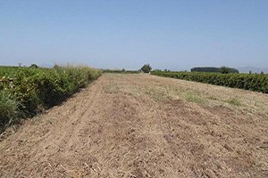 Ekilemeyen Arazileri Devlet Şahıslara Kiralayacak