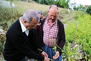 Mezitli Köylerini Dolu Vurdu