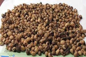 Ormandan Topladı 40 Bin Lira Ceza Ödeyecek