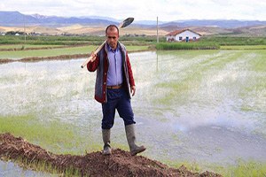 Sabah Çiftçi Akşam Öğrenci
