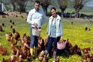 Aydın da 3 4 Milyon Kümes Hayvanı Var