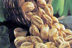 Bosnalı Aydın İncirine Sahip Çıkmak Durumundayız