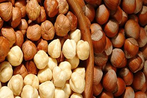 Fındık Üreticisinin Gözü Açıklanacak Rekoltede