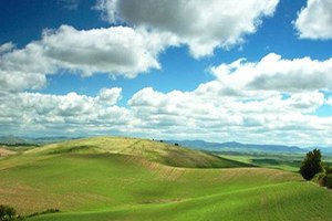 Miras İşleri Karışacak 184 Büyük Ovaya Koruma Geliyor